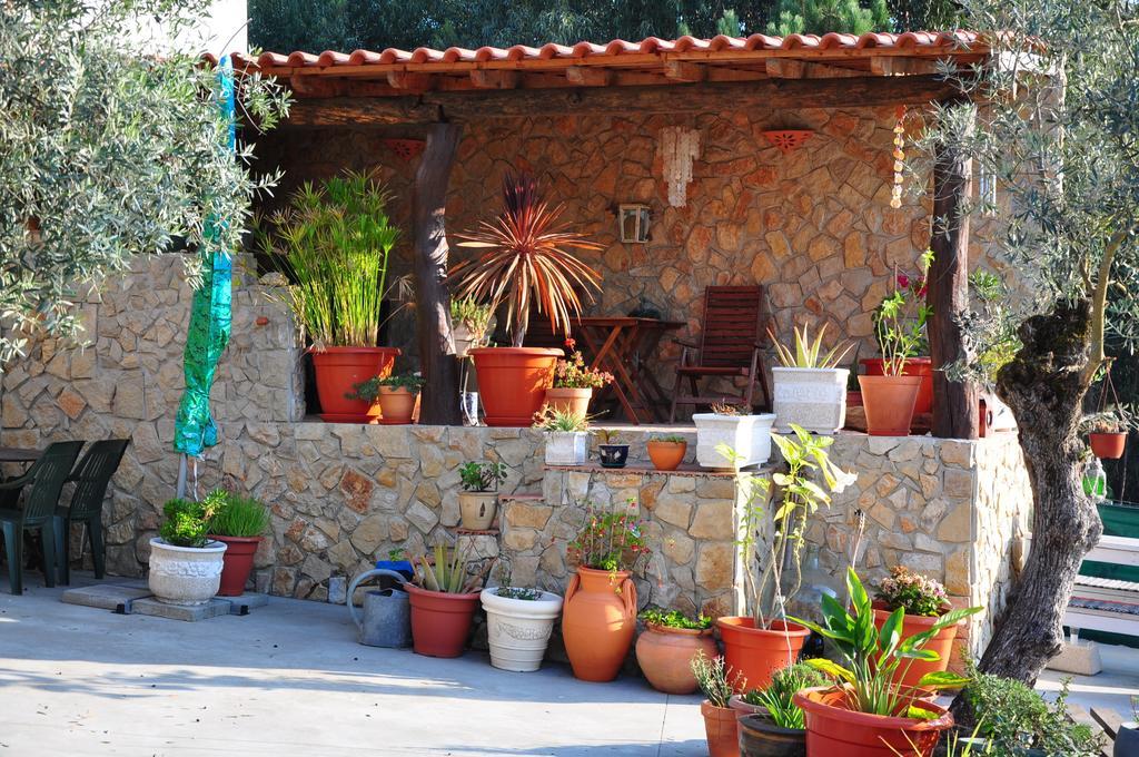 Quinta Da Vida Serena Bed & Breakfast Alfeizerão Oda fotoğraf
